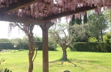 Fattoria Cirene - Foto 22