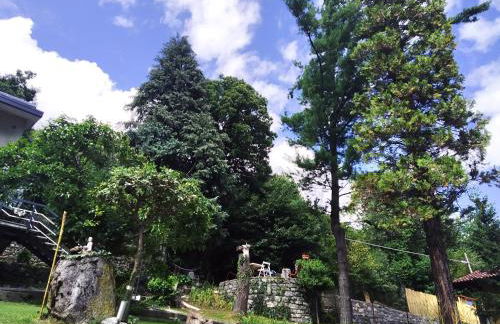 Serok: Casa nel Bosco con Bio Sauna - Photo 7