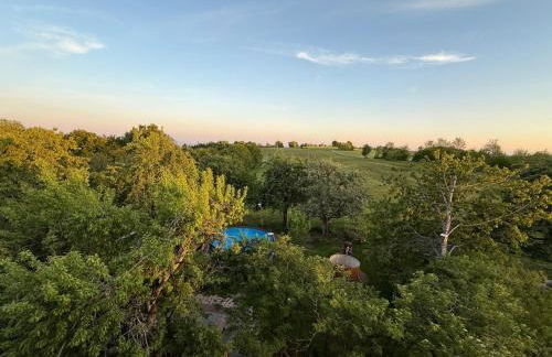 Steinackerhof Dachsberg - Foto 17