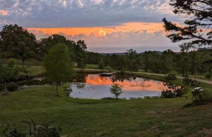The Prancing Pony Guest House at Edendell - Foto 39