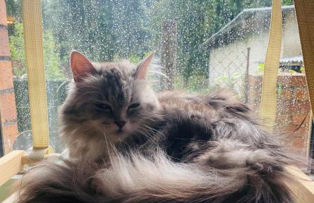 Walnußhof - Foto 17