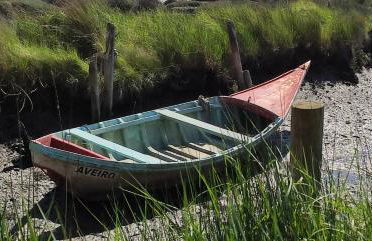 Wherry Green Guest House (PRAIA DA BARRA)❤️ - Foto 47