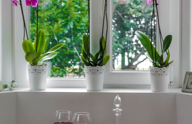 Lubimetz 13 - holiday villa - Photo 8