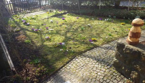 Ferienhaus Frieda - Foto 4