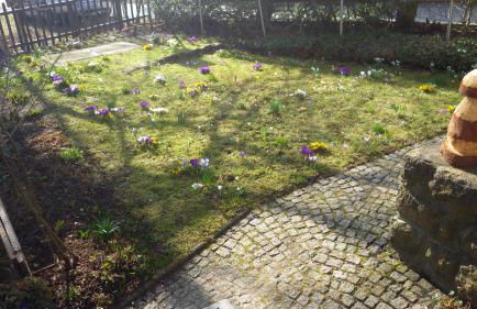 Ferienhaus Frieda - Foto 4