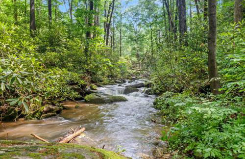 Falling Waters at Rumbling Bald - Foto 40