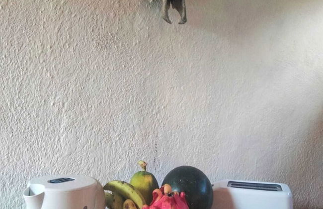 Rote Beach Bungalows - Foto 24