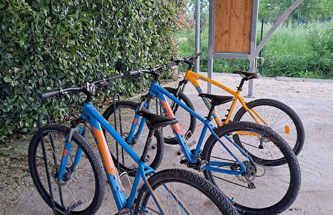 Family Farm Soc. Agricola - Agriturismo - Foto 48