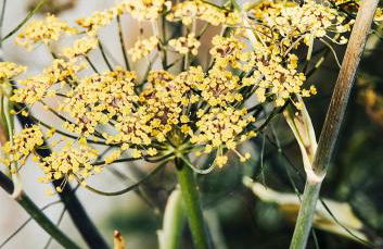 Boutique Apart & Gästehaus Le Rossignol - Foto 72