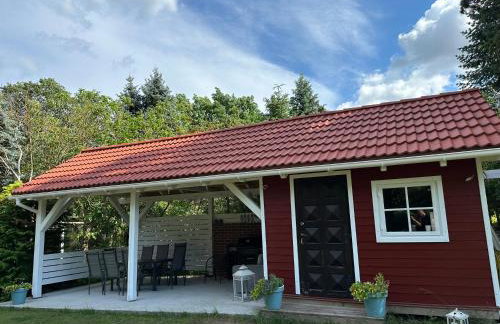 Kwiat Paproci - Foto 49