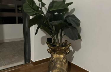 Elizabeth's - Foto 20