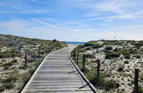 La flabellina blu - Foto 19