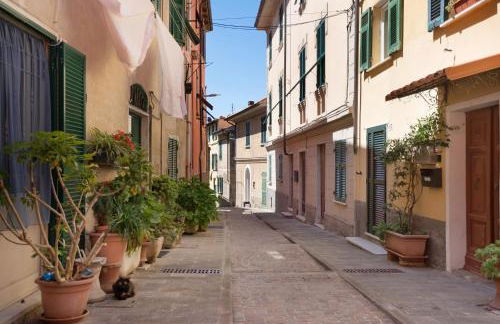 Hemingway's Shelter - Photo 23