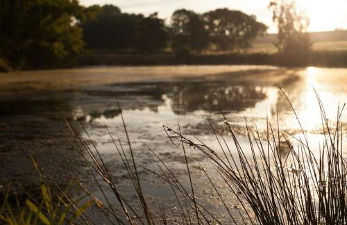 Wald-Apartment - Foto 63