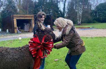 Les Gites de Claire - Foto 49