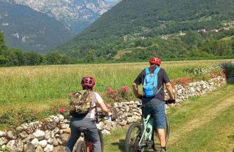 Apartment Haus in den Höfen by Interhome - Foto 16