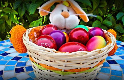 Acroploro - Photo 36