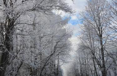 Sielanka, wyjątkowy dom, jacuzzi - Foto 65