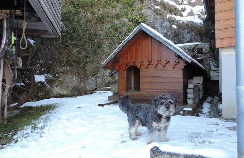 Ferienwohnungen Am Burgberg - Foto 41