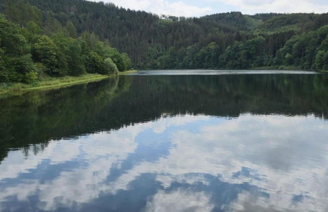 Apartment in Bruchhausen Right on the Fishing River - Foto 54