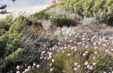 casa rosa nel residence mirice con piscina ,wifi,climatizzatore - vicino al mare - Photo 24