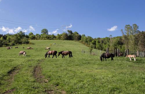 Can Criach - Photo 53