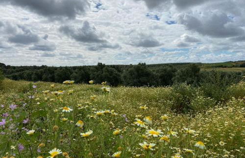 Hacienda Donaire Beas - Foto 57