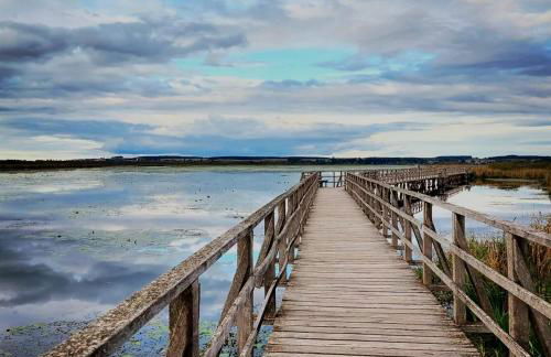 FeWo Lichtblick - Foto 47