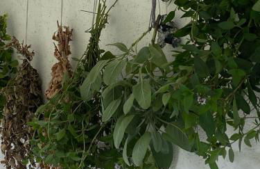 Studio Luise - Foto 15