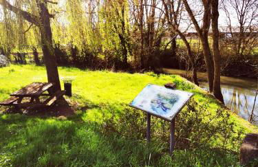 L'Aarona du Lidon - Foto 15