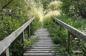 Harzquartier - Foto 56