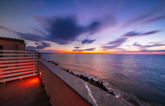 Taliammari - Foto 77