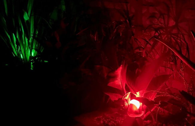 Zeyman's Apartments - Foto 19