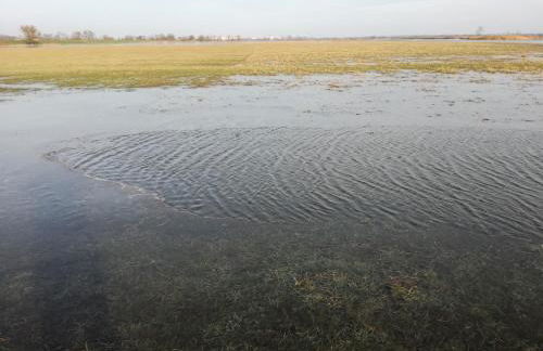 Gutshaus am Nationalpark Unteres Odertal - Foto 57