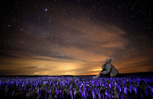 Koča Kronca - Velika planina - Foto 13