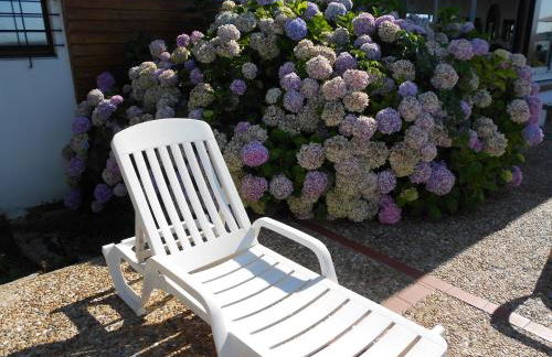 Les Rives du Lac de Léon - Foto 3