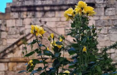 Apartamento Ábside de San Juan I - Foto 44