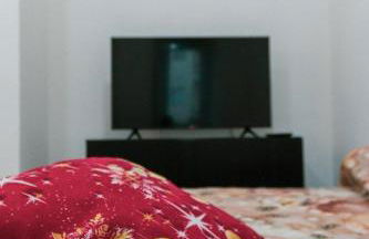 La tana di Pumba - Foto 5