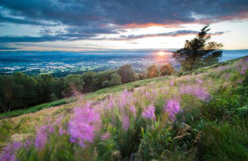 Harts Leap - Foto 28