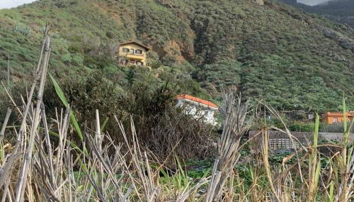 Casa Amarilla de Playa Benijo - Foto 3