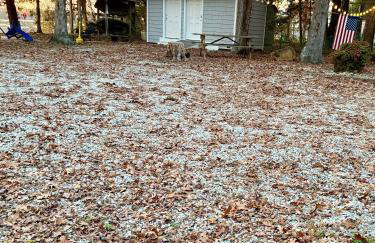 Sai Rakshit Villa on Maurice River - Foto 14