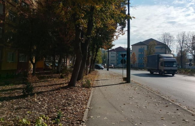 Iosif House RGC 1 Reșița - Photo 11