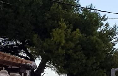 Exclusive Apartment - Playa de Marenys de Rafalcaid - Photo 42