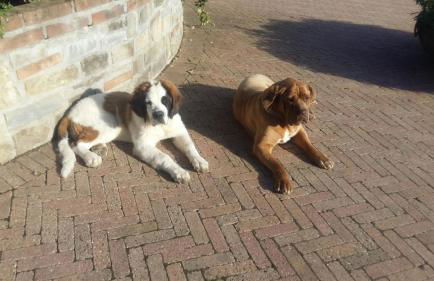 Cascina Bricco - Photo 19