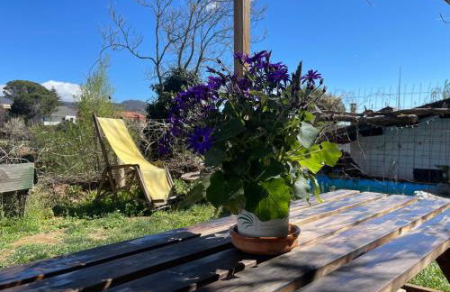 Casa Fidelina I Miraflores de la Sierra - Foto 1