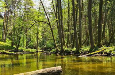 Przystań Natura - Foto 53