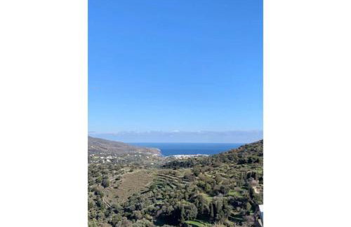 Olive Guesthouse Junior - Foto 20