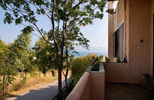 Seaview Resort - Foto 43