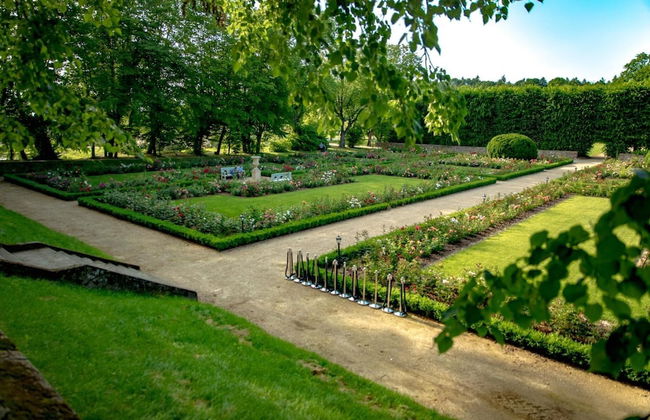 Palac Mala Wies - Foto 54