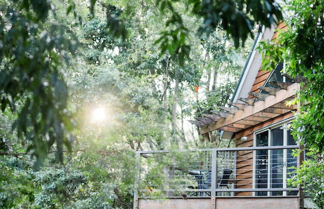 Shambala Estate - Photo 1